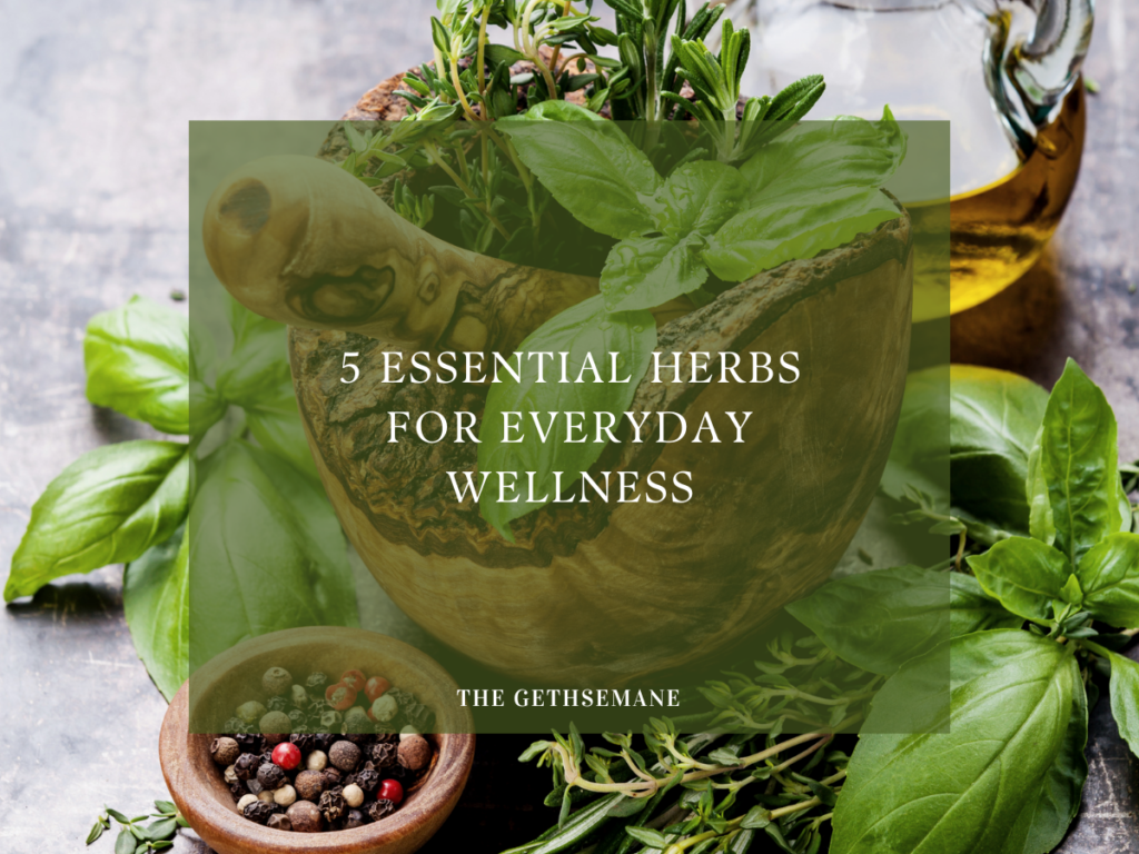 5 Essential Herbs for Everyday Wellness