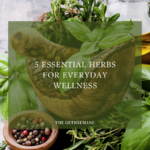 5 Essential Herbs for Everyday Wellness