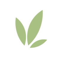 Cropped 59407f16 b8e0 4a72 95f9 8e50a6b060fe.png